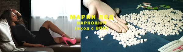 гидропоника Белокуриха