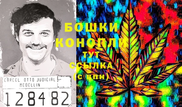 гидропоника Белокуриха
