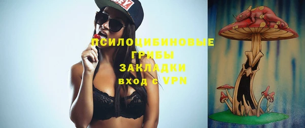 дурь Балахна