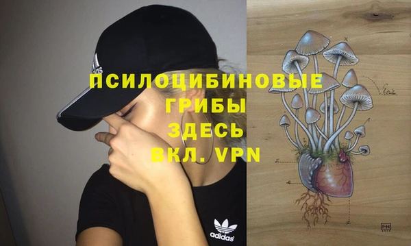 бошки Баксан