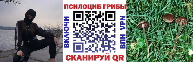Псилоцибиновые грибы прущие грибы  Кущёвская 